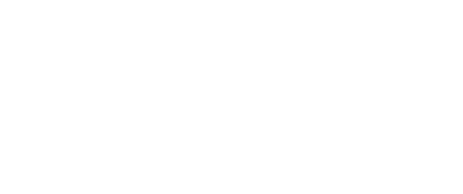 Texas America250 Logo