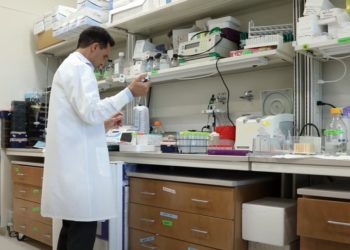 Man Working In Laboratory Wearing Lab Coat