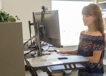 Woman Working At Computer Desk