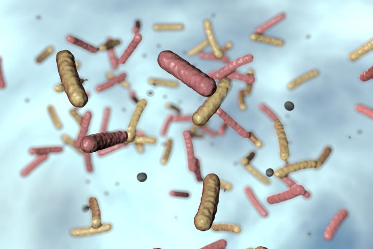 microscopic antibiotic resistance image